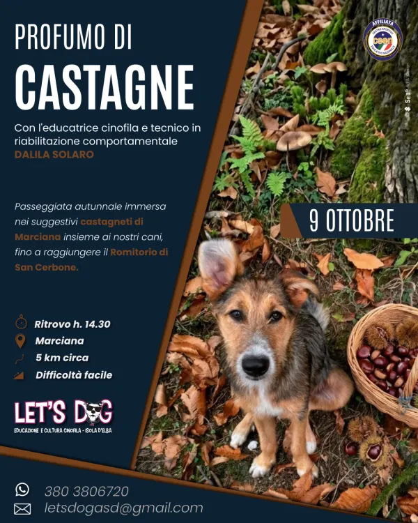Profumo di Castagne