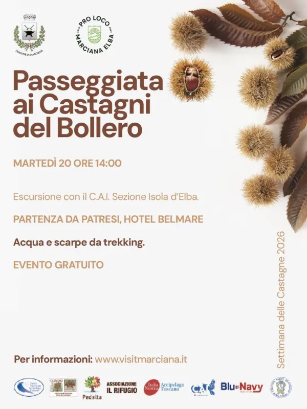 Passeggiata ai Castagni del Bollero