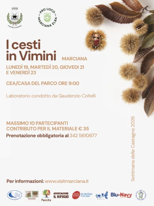 I cesti in vimini